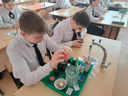 На «Разговорах о важном» со школьниками Ингушетии  говорили об ученых и  их открытиях