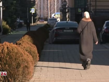 Подведены итоги работы оперативного штаба при Правительстве Ингушетии в новогодние выходные