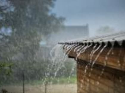 Обильные дожди в Ингушетии негативно повлияли на состояние сельхозпосевов