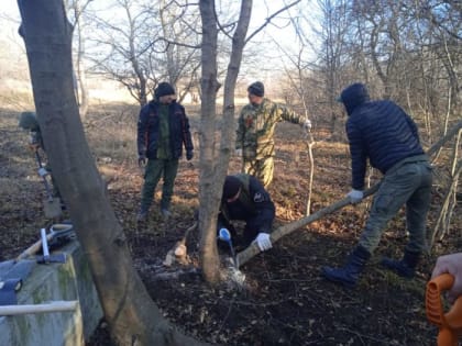 Поисковики отряда «Малгобек» приняли участие в поисках самолёта  Героя Советского Союза Николая Жердева