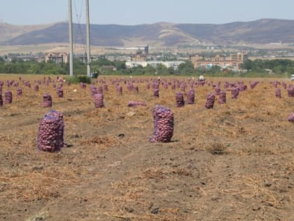 Ингушетия увеличивает экспорт продукции АПК