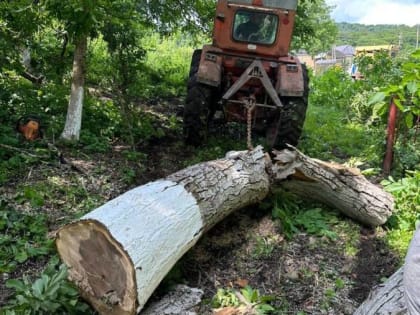 Последствия недавно обрушившихся сильных ливней с грозой, града и шквалистого ветра были устранены