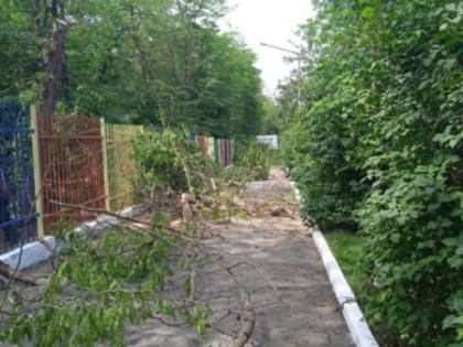 Обрезка деревьев на территории летнего лагеря «Нефтяник»