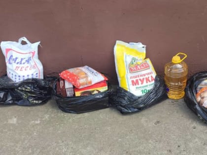 Представители ЕР совершили визит в семью воспитывающую 7 детей.