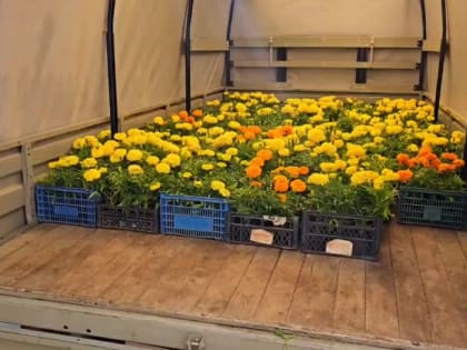 По результатам прокурорской проверки возбуждено уголовное дело о незаконном отчуждении земельных участков в с.п. Яндаре