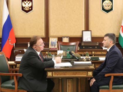 Ингушетия заняла 4 место среди регионов РФ по динамике увеличения числа субъектов МСП