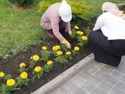 Озеленение города продолжается