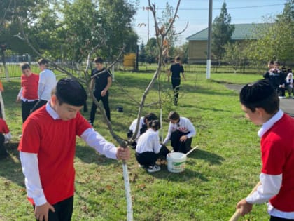 В селе Нестеровское Ингушетии школьники посадили деревья в честь учителей