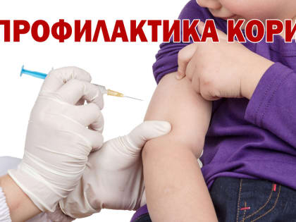Профилактика кори