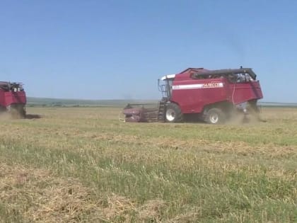 Сельское хозяйство Ингушетии в I полугодии 2023 года показало улучшение результатов работы