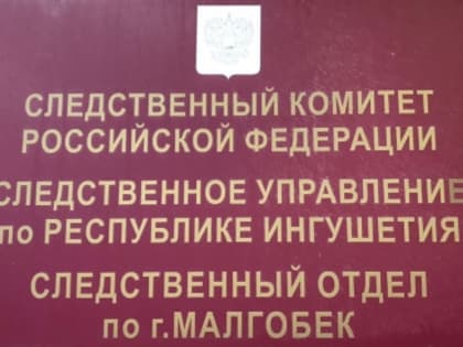 По ходатайству следователя судом в отношении обвиняемого в применении насилия в отношении представителей власти в городе Малгобеке избрана мера пресечения в виде заключения под стр