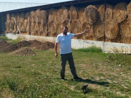 Более 50 млн рублей получат начинающие фермеры в Ингушетии