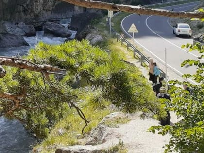 В Ингушетии выделят гранты 52 предпринимателям на проекты в сфере туризма