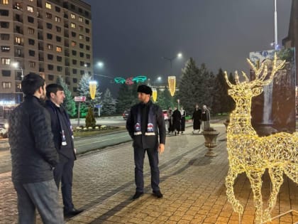 Партдесант «Единой России» в Магасе в рамках реализации Народной программы провел обход по городу для мониторинга новогодних украшений