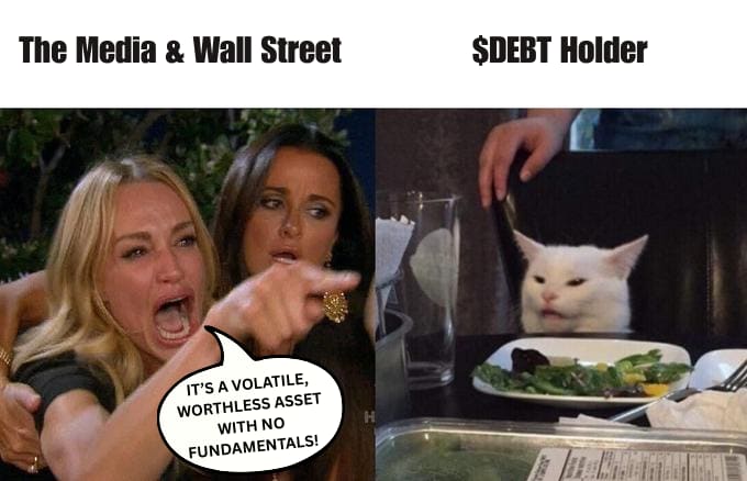 Woman Yelling at a Cat