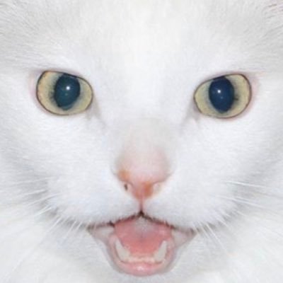 Thurston profile picture
