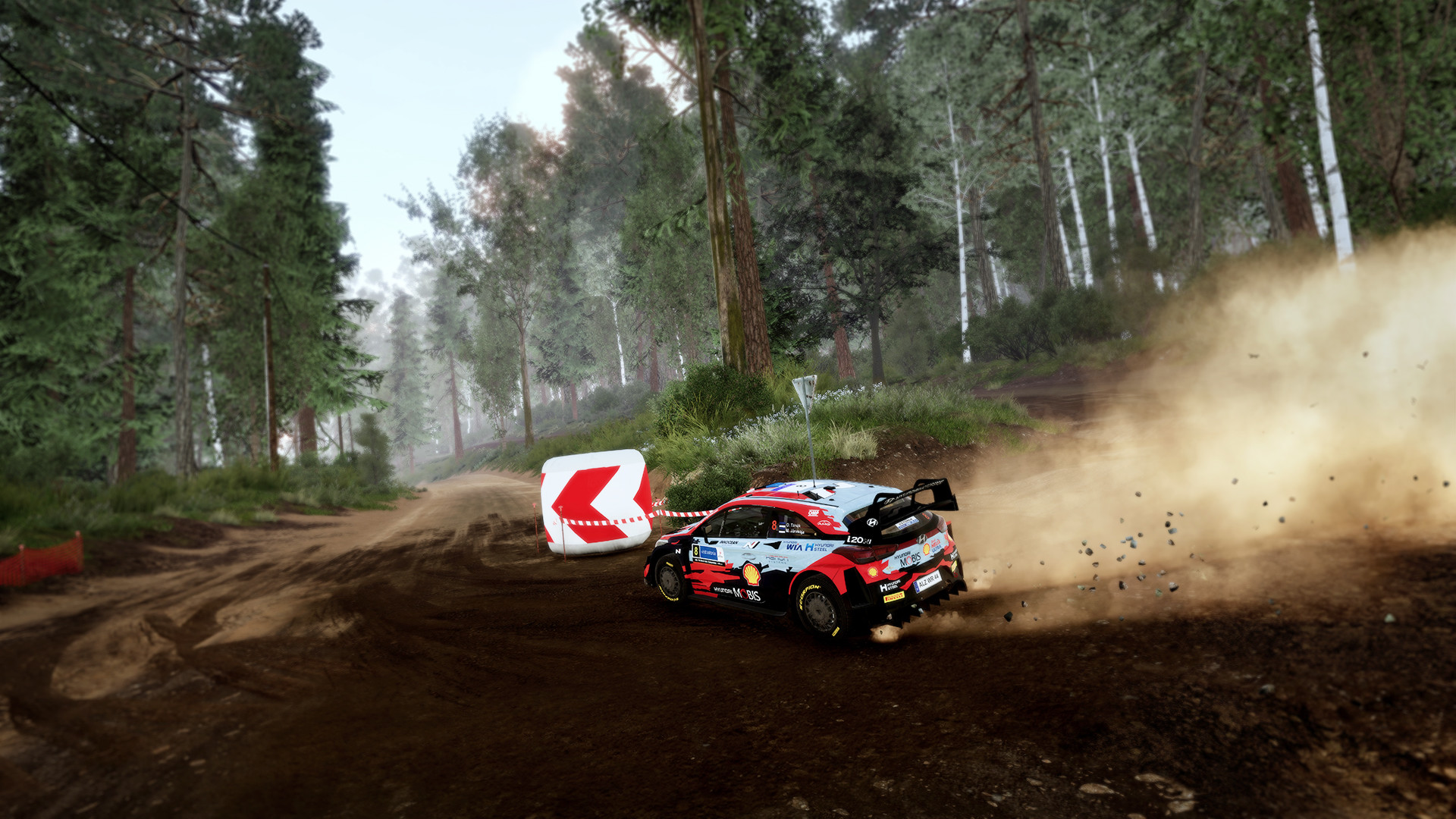 WRC 10 FIA World Rally Championship PS5