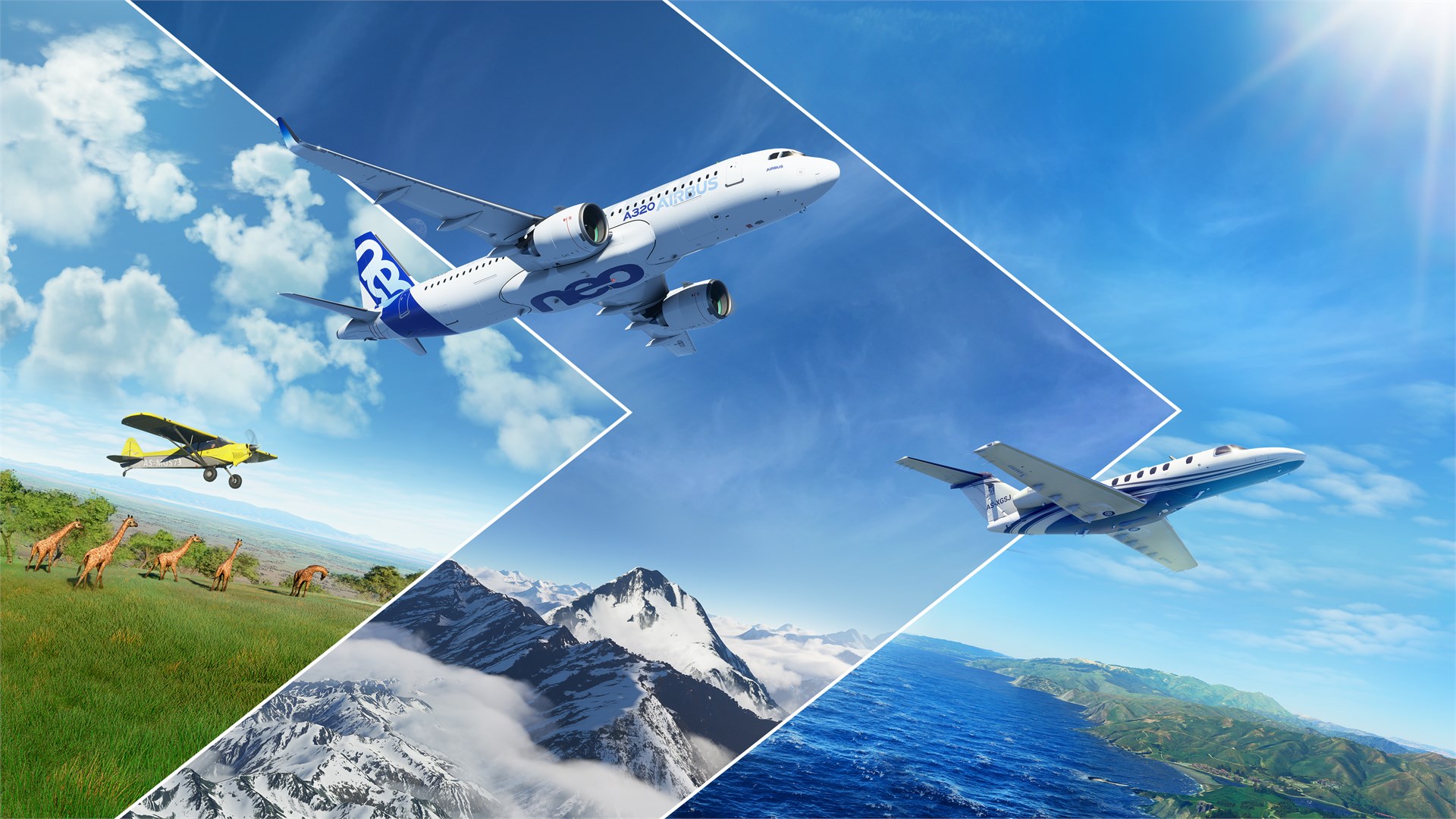 Microsoft Flight Simulator 2024- Standard Edition PS5