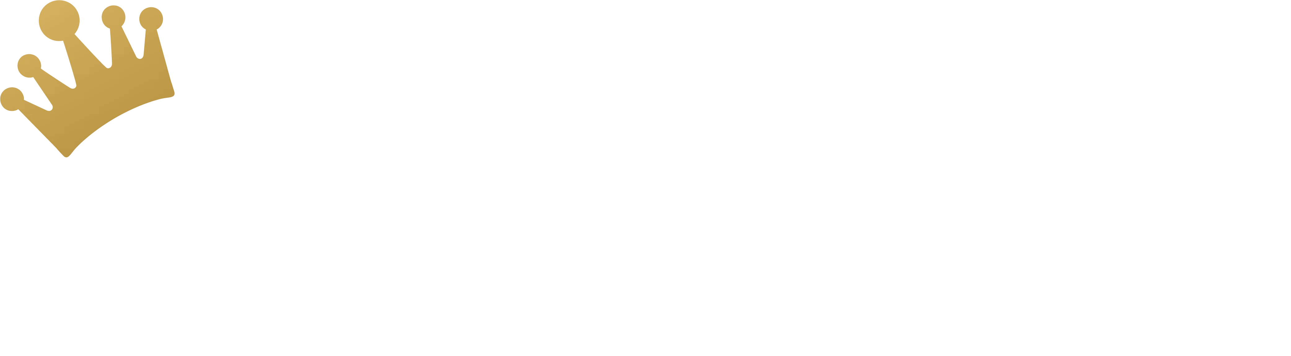 Rajaplay Logo