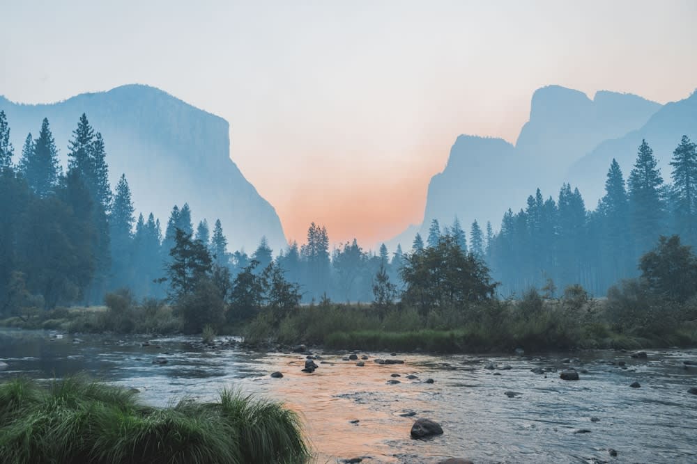 Landscapes