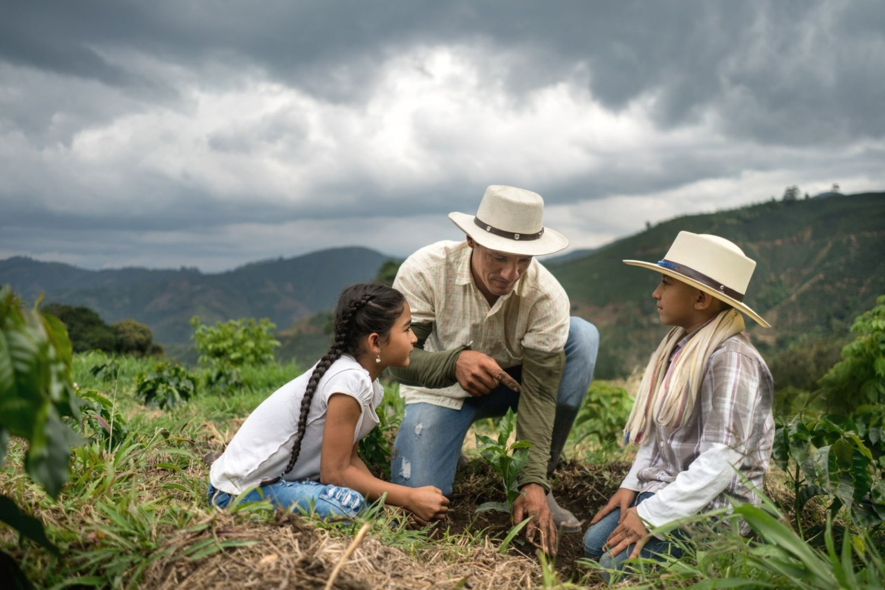 Emprendedor de Orígenes de Algeciras