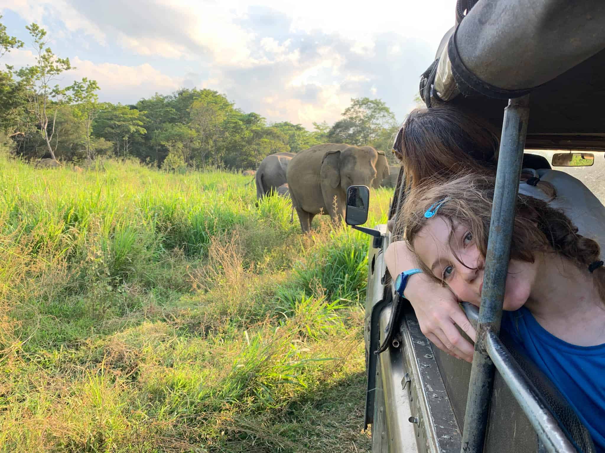 Wildlife Safari Adventure - Thumbnail 2