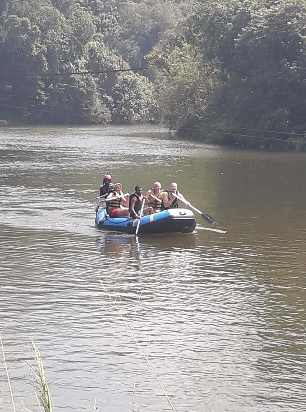 Safari explorers witnessing incredible wildlife encounters