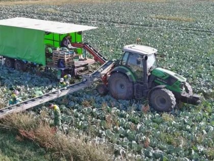 9 овощехранилищ общей мощностью 44,4 тыс тонн появятся в Подмосковье к декабрю