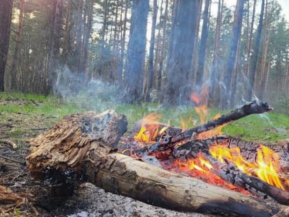 Ореховозуевцев и гостей округа призывают быть осторожнее с огнём на природе