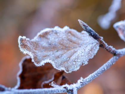 Городские изменения: как мегаполисы адаптируются к вызовам времени