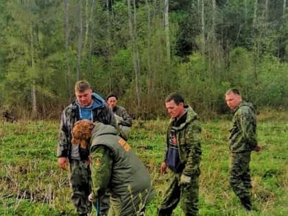 В Борисовском участковом лесничестве дополнили лесные культуры на площади 22,8 га