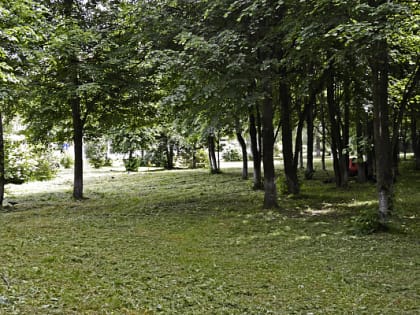 Солнце вернётся в Подмосковье в понедельник