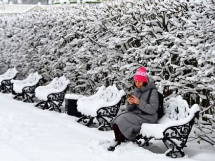 Облачно и до минус трех градусов ожидается в Московском регионе в понедельник