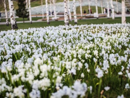 Синоптик дал прогноз на&nbsp;выходные в&nbsp;Москве