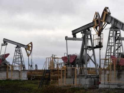 Российское правительство готовит три варианта ответа на введение потолка цен на нефть