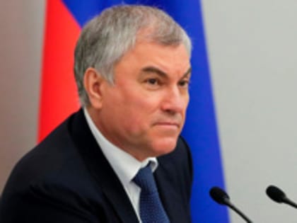 Володин: депутаты могут сами публиковать декларации с личными данными