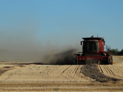 Фастова: В России с 2024 года откажутся от стимулирующей субсидии аграриям