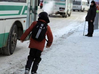 Ребёнка высадили из автобуса в подмосковном Чехове из-за нехватки денег на проезд