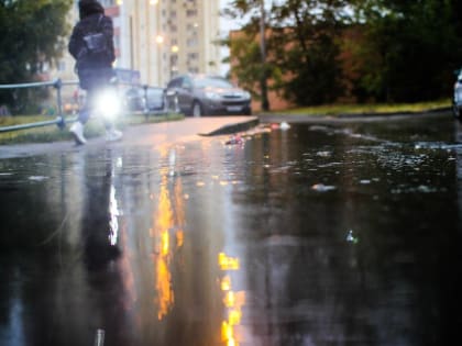 В Москве и Подмосковье будет теплая и пасмурная неделя