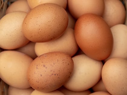 Россельхознадзор: Вторая партия куриных яиц доставлена из России в Азербайджан