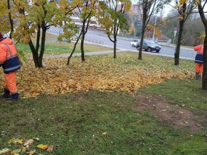 Уборку общественных пространств провели в Воскресенском