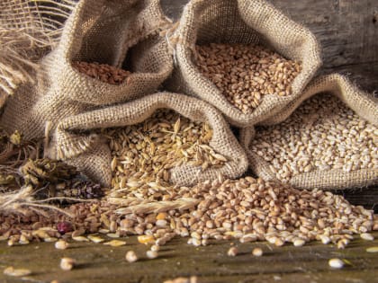 ООН: основными получателями украинской продукции в рамках зерновой сделки являются страны ЕС