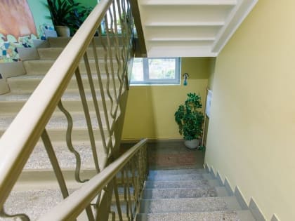 В Подольске разыскивают женщину, укравшую комнатное растение