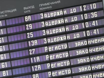 Семьдесят шесть рейсов задержали и отменили в аэропортах Московского региона