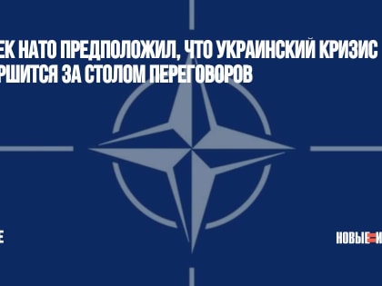 Генсек НАТО предположил, что украинский кризис завершится за столом переговоров