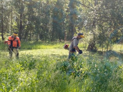 В Рузском округе косят траву