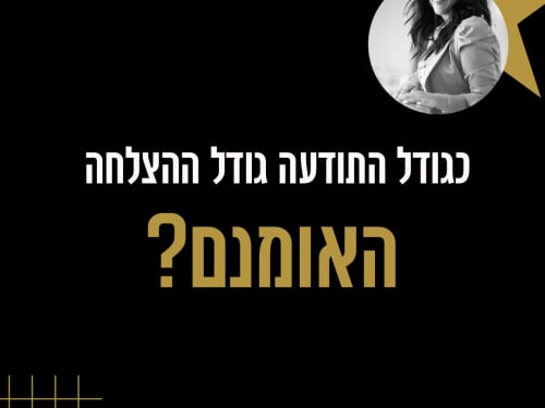 סדרת פוסטים ממותגת
