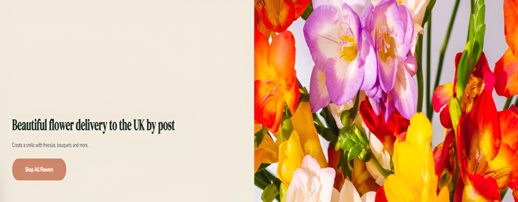 banner 4