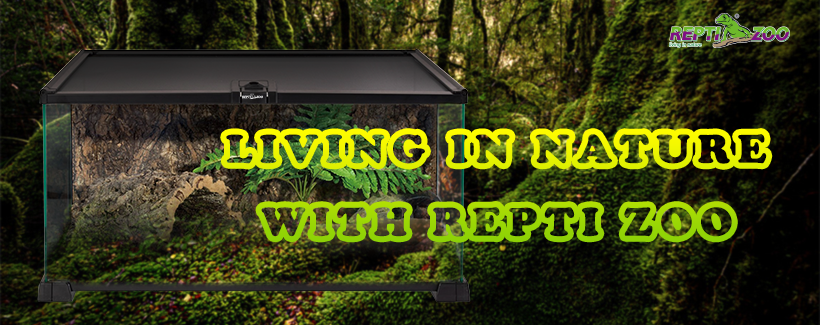 🦎 Repti Zoo Review 2026: The Reptile Habitat Brand Every Serious Reptile Owner Should Know