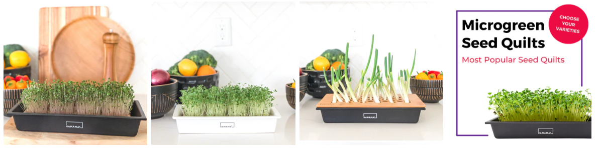 🥗 Discover Hamama: Fresh Homegrown Greens Without the Gardening Hassle